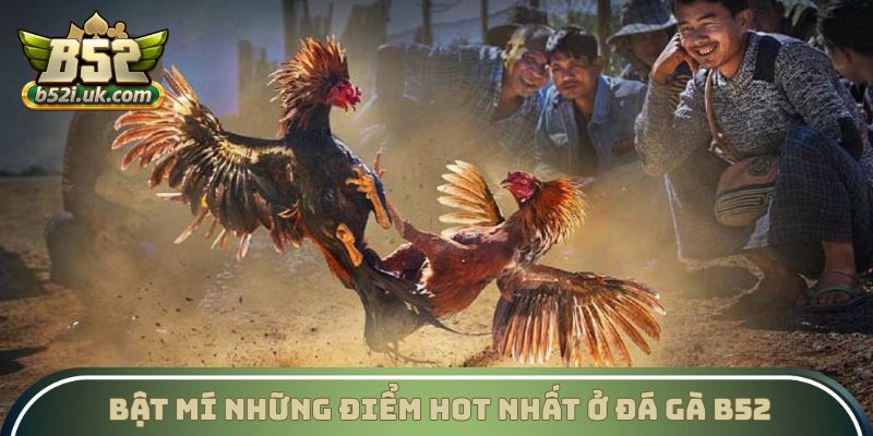 Bật mí những điểm hot nhất ở Đá gà B52