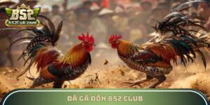 Đá Gà Đòn B52 Club